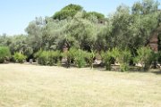 20160712_Tivoli_Villa_Adriana_110