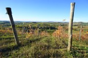 20181030_Monferrato_08