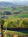 20181030_Monferrato_10