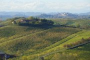 20181030_Monferrato_11