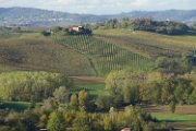 20181030_Monferrato_17