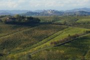 20181030_Monferrato_18