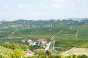 20121009_Barolo_05