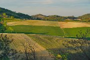 12 Grazzano Badoglio