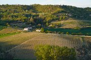 14 Grazzano Badoglio