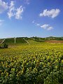 20220703_Grometrie_del_Monferrato_08