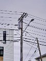 20230404-11_Boston_027